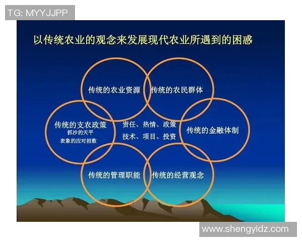运动数据南京乒乓球队战术解析与对比探讨全方位剖析球队优势与不足